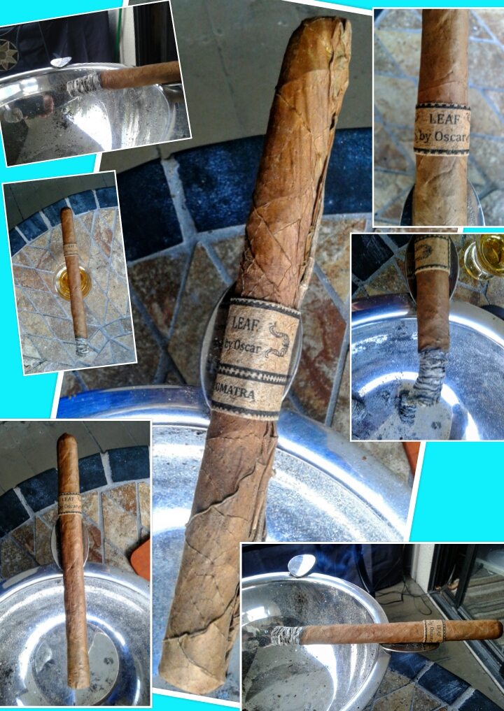 PhotoGrid_1452277700814